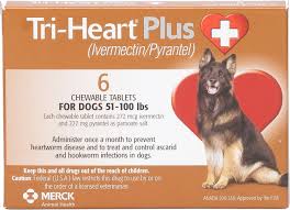 Day 1 – First Dose of Heartworm Prevention Tri-Heart Plus UPDATED